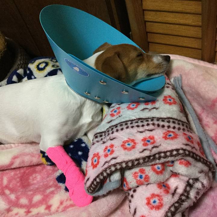 E5c9ee9b 3b86 4e98 8e67 a04841edabb7