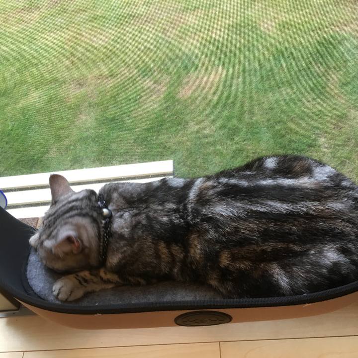 E5ca0630 0d05 4eab b5b5 3afebfdd7c28