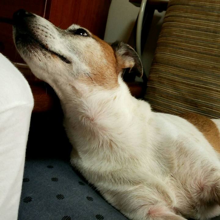 E5ca3aee a619 40bf 8b91 eb267c96e4d7