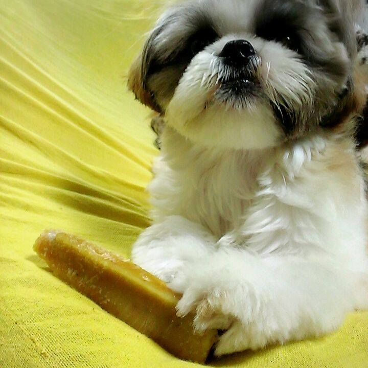 E5ca8d2d 5eb6 4ed0 9ba8 b085e1b1c8b0