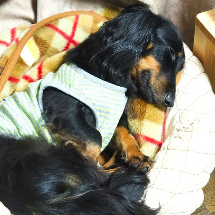 E5ca95ac e3a2 4198 bb8e b1af027aed24