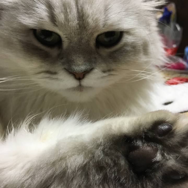 E5cae361 a554 4b0f ad5a f33c087dc7dd