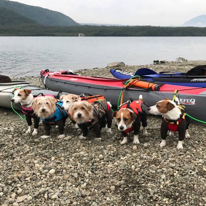 E5cb54bf aaa9 408d a27c ff081500153e