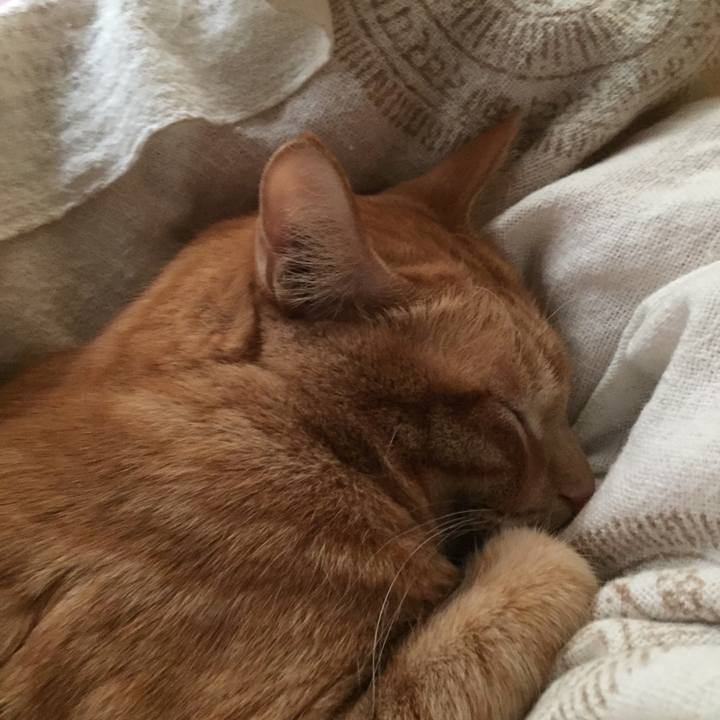 E5cb5adc b764 4d5f bab3 7831cb1bfdc1