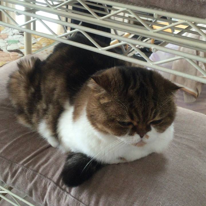 E5cb9cf5 f19c 4591 acc1 2e41b25a5dcb