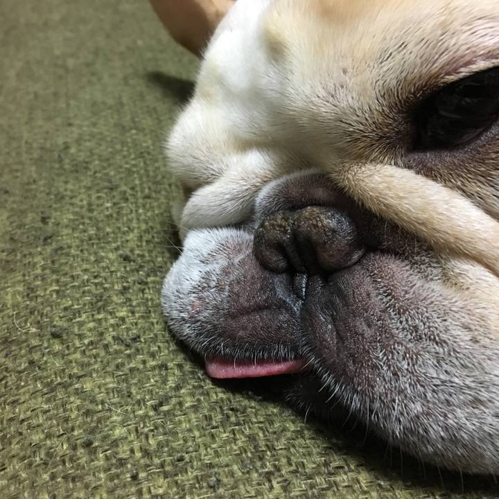 E5cbb130 75f5 41db b57a e03e364d1c0a