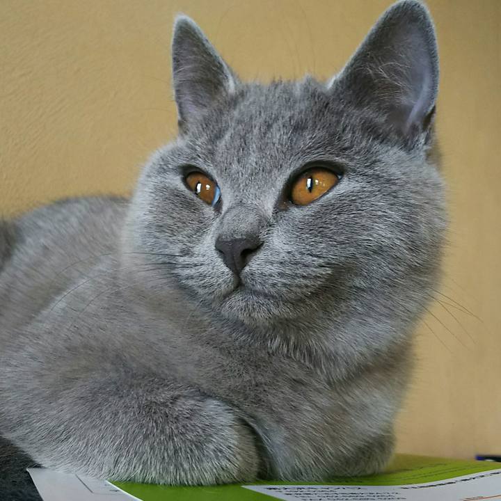 E5cbbd59 af2c 4a14 9c08 67df19d3831a