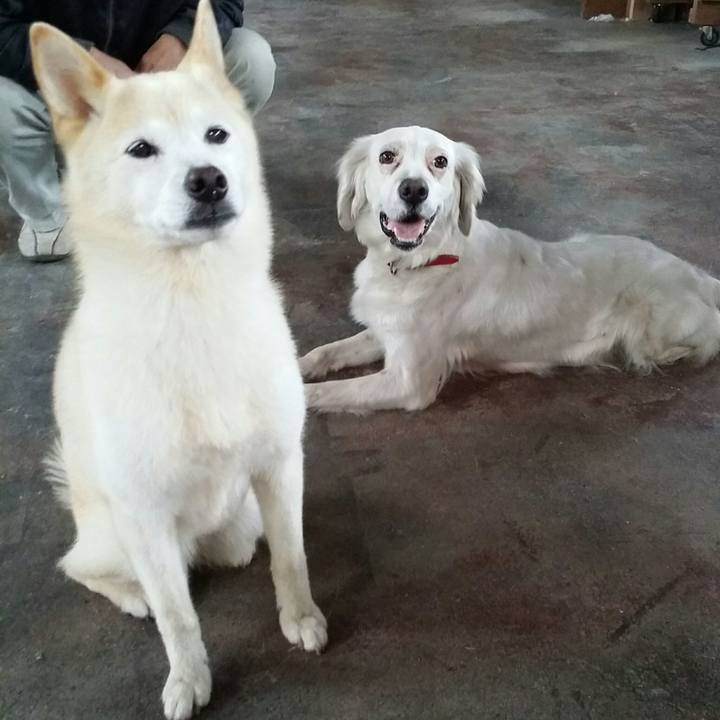 E5cbc42e 5e18 421b 87df 3bb02cade4f8