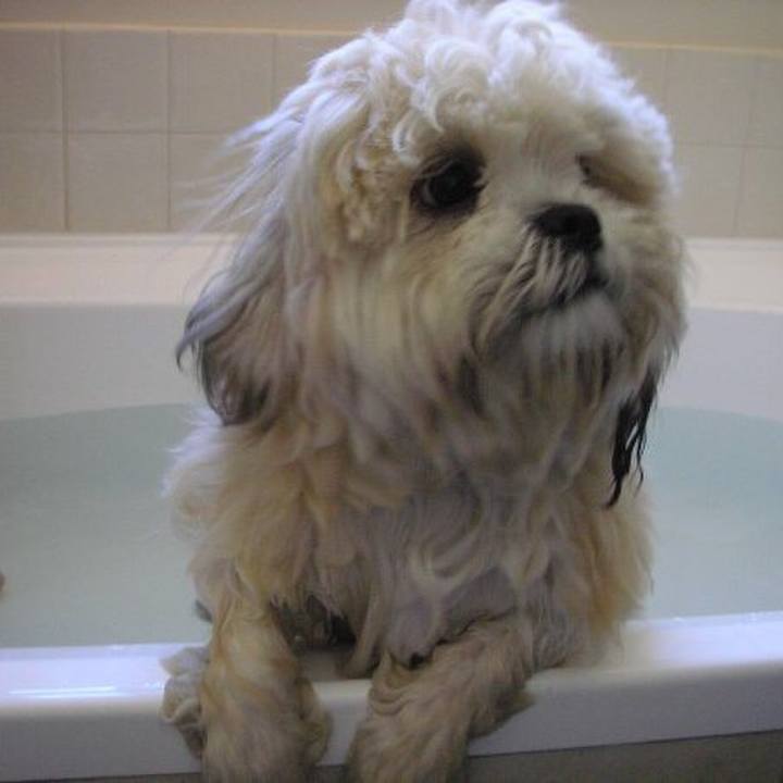 E5cbe252 5861 47d0 b371 dc2363b52042