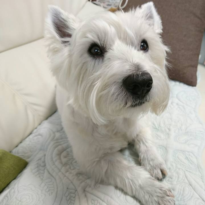 E5cbf18d b237 44e8 bbde 93dfca08dd49