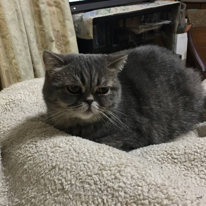 E5cd00fd f509 42fe 8d67 d176aab6d331