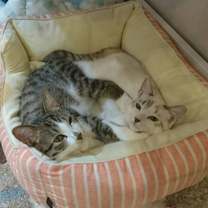 E5cdf5e1 d294 44f0 acad 8e4a7c5c3e8f