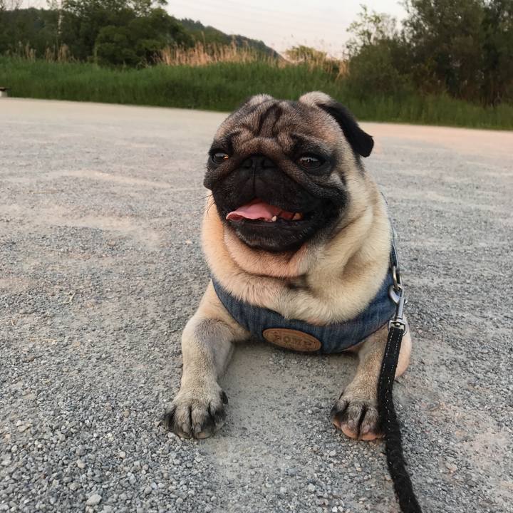 E5cdfed9 dd54 49de 9c62 e3b1febb5a06