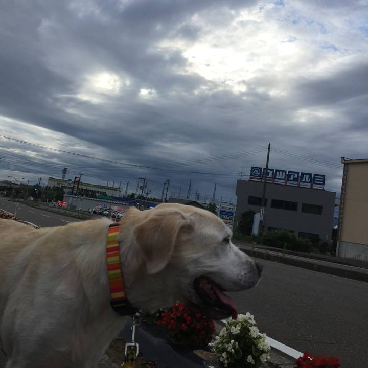 E5ce12d3 868c 4337 b72d 9c632c10f92a