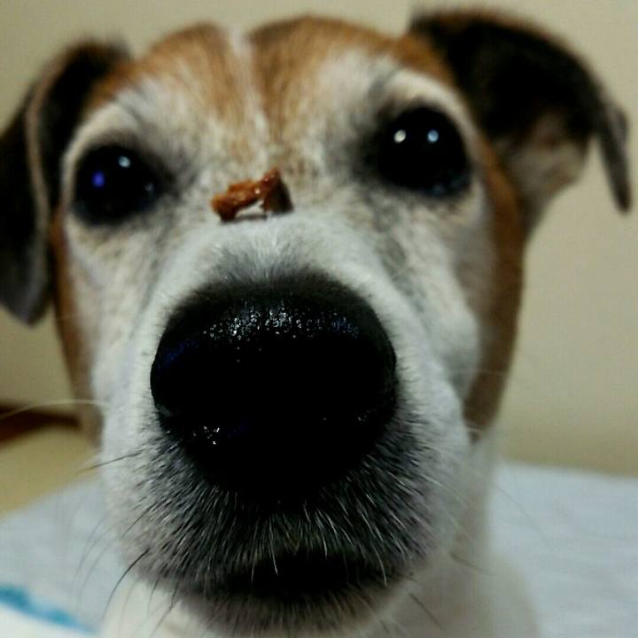 E5ce7c55 3203 418b a642 7855592104a4