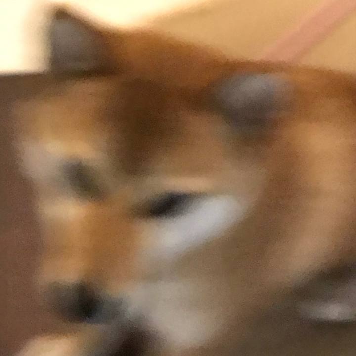 E5ced102 bdfb 4d7e 830c 2cbaf8add6d4