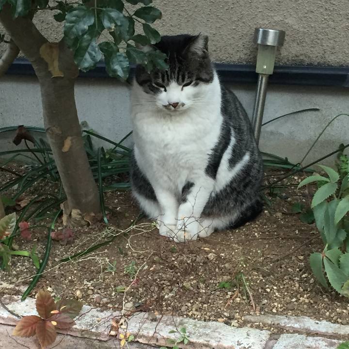 E5cf7c63 c2f7 4c53 840b b747b12bf210