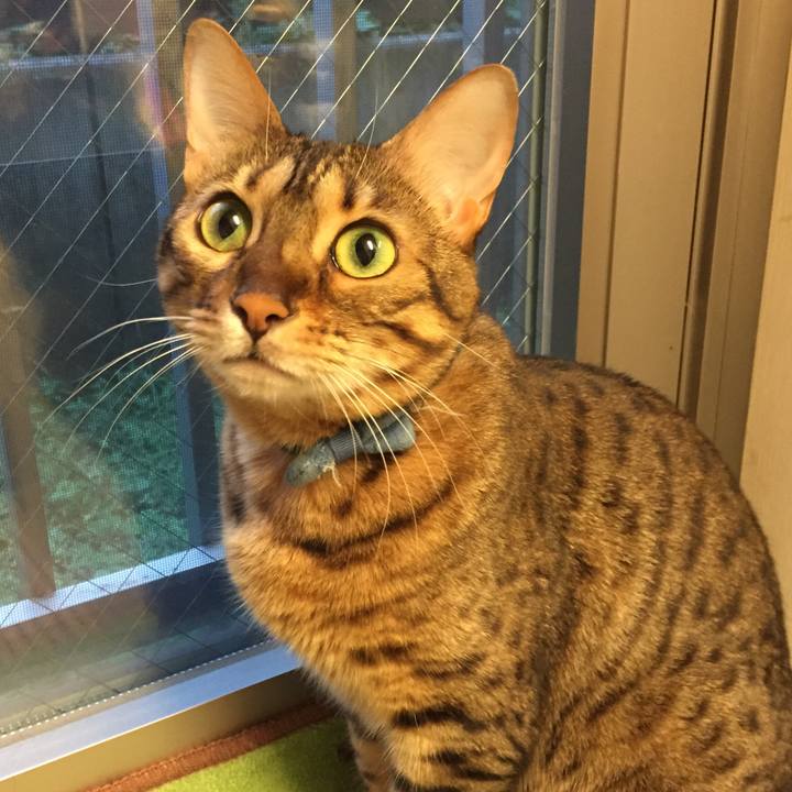 E5cf8b2a c96e 4a0a 93fa d0b390536dc5