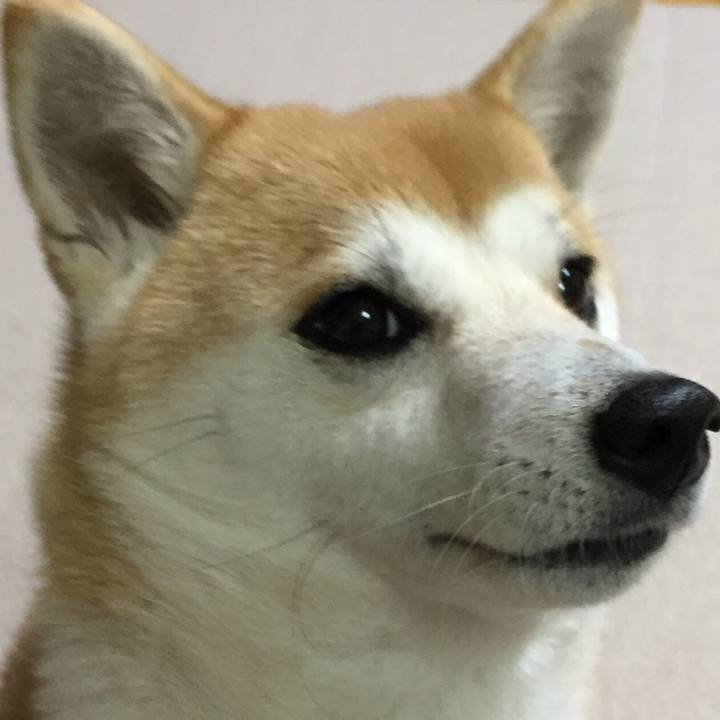 E5d0374f ff06 4e07 9d96 83533b8c7f9d