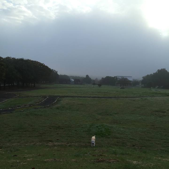 E5d05177 84c0 4ae3 8bcc 92ac57a71c1d