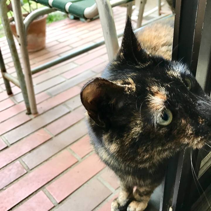 E5d09162 cd23 4d6e 80b6 b17726cc5284