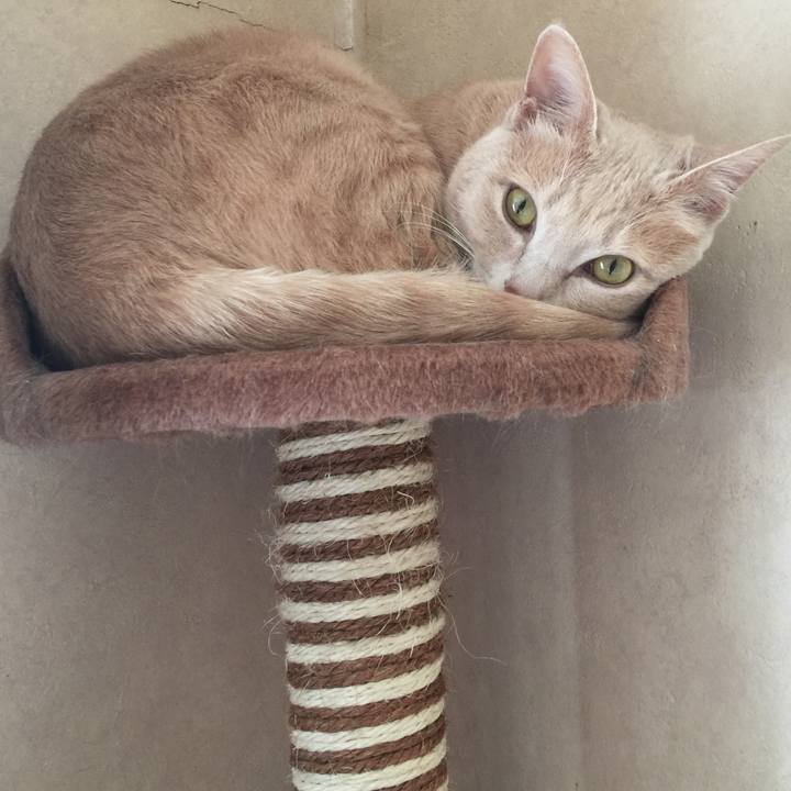 E5d09176 b155 46a7 8b8c dab594738819