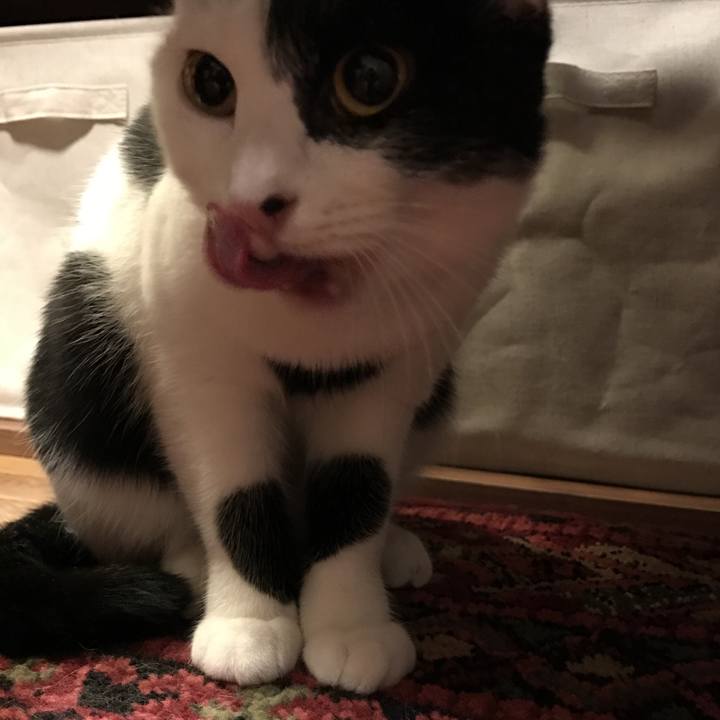 E5d0a554 9ea2 4a2c 9eb4 6353ff1d24c3