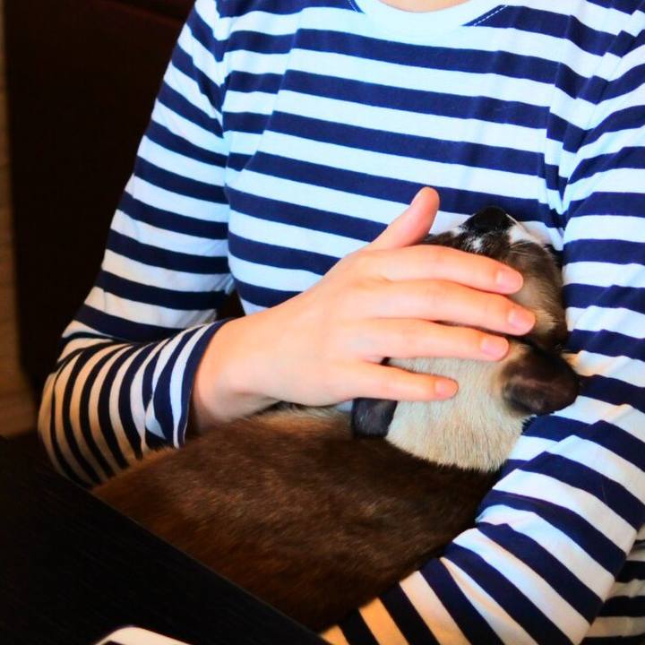 E5d179b3 a476 481a 8a80 7c9b0e022525