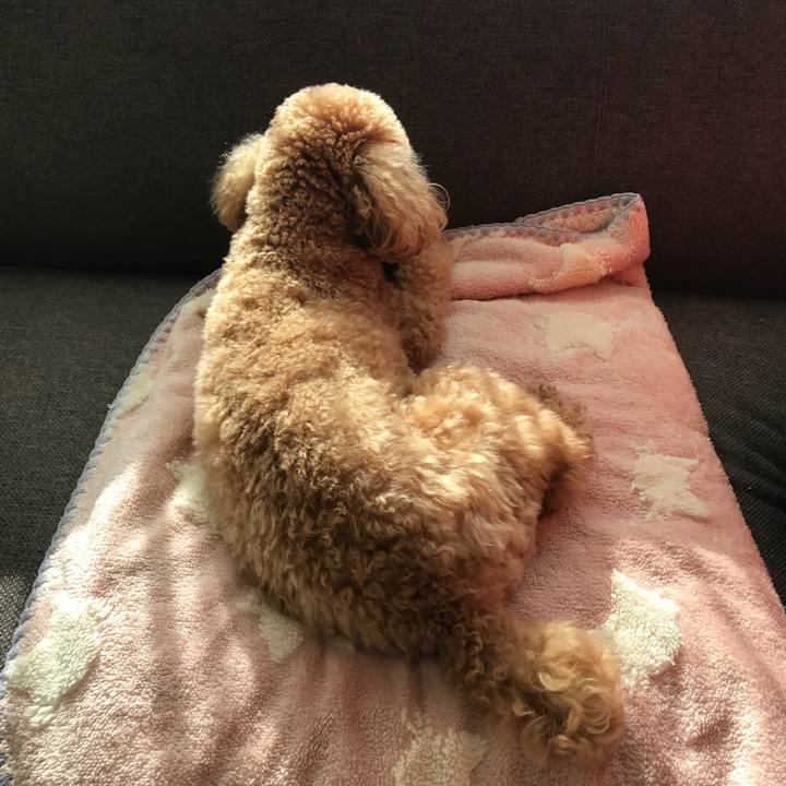 E5d1fe2f a494 4d5f 8dd6 9f63cd62fecb