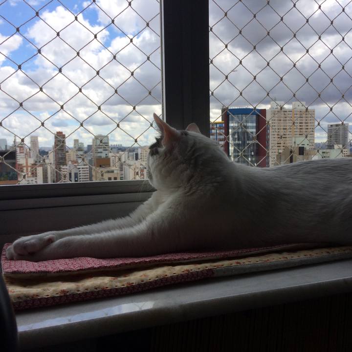 E5d2114a 8180 4bb5 b750 f81207d5b6aa