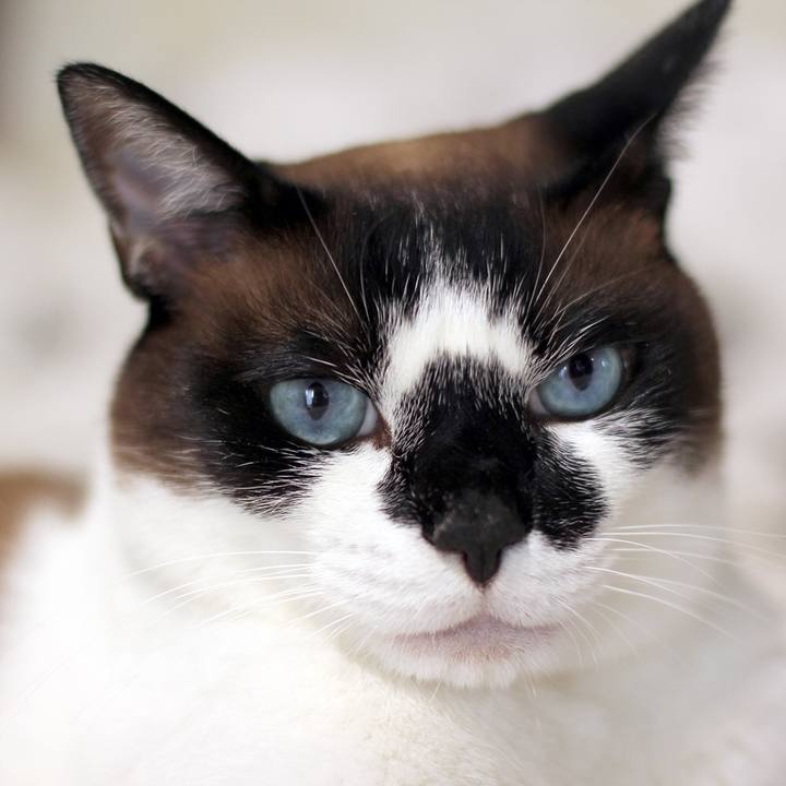 E5d2d139 bb1a 4ffc 842c 8f71d526740b