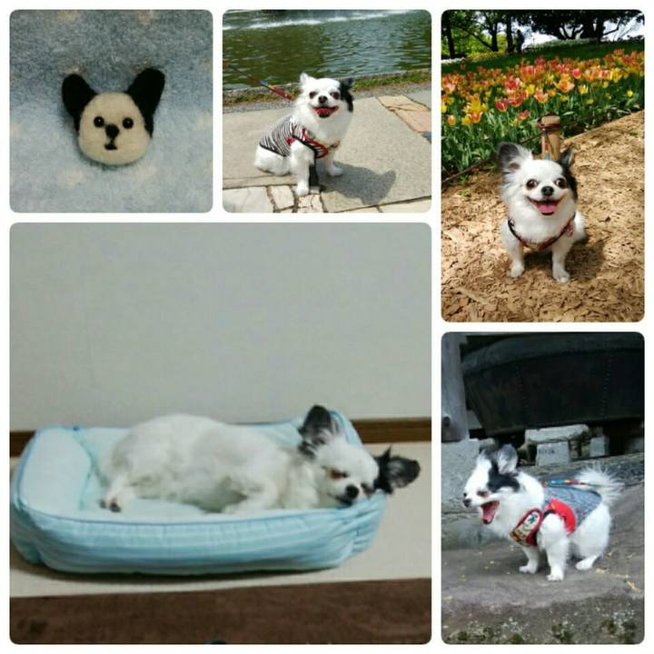 E5d31bf9 d548 4517 9887 3d634876eb3b