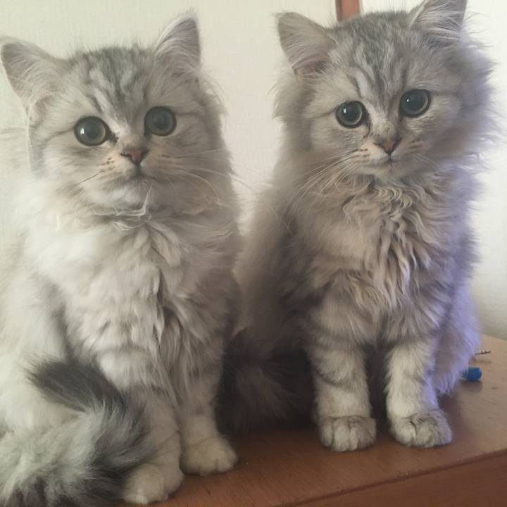 E5d37939 e932 4eb3 b31f e8b14247500b