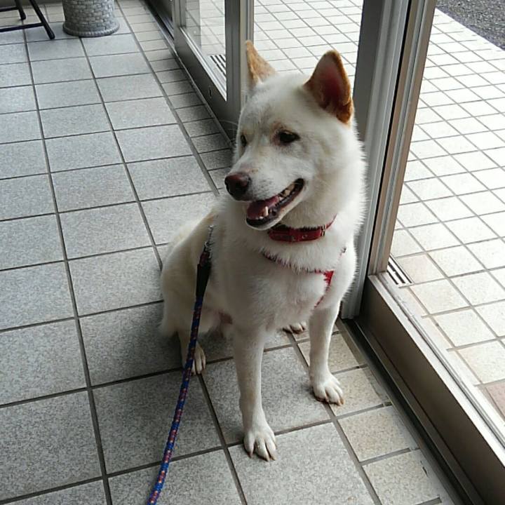 E5d3cda2 32d0 4b30 8838 ac9b1e159e02