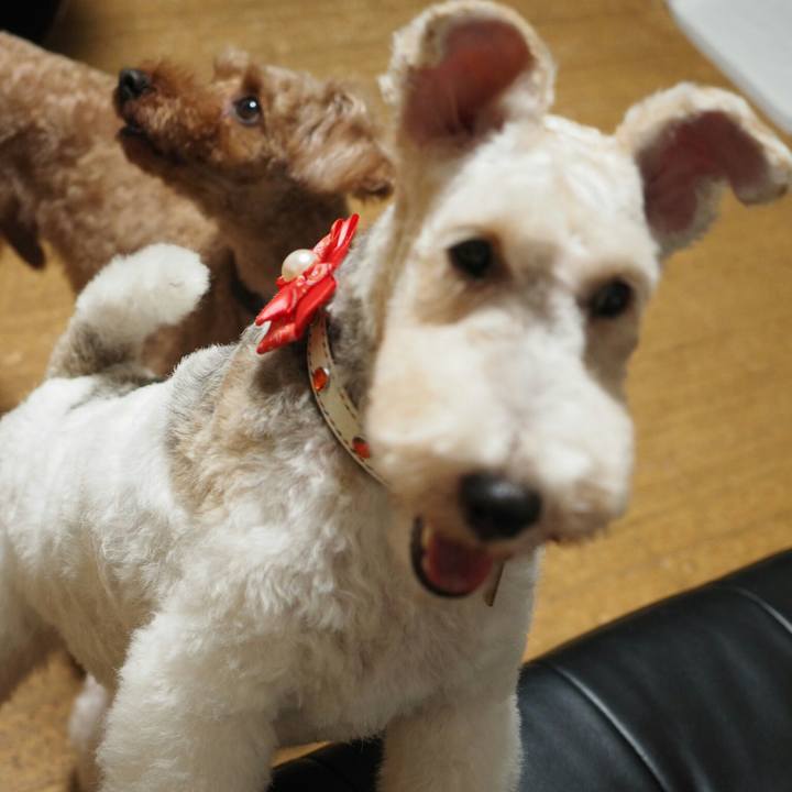 E5d4402e fa5b 4cba b545 b1eb5e17da58