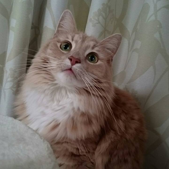 E5d448de a728 4ef6 8493 a6a813d6cbc2