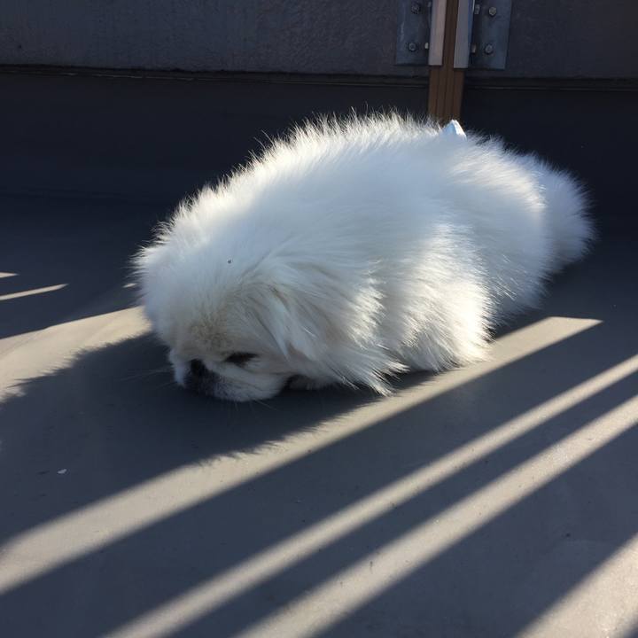 E5d4a2de 62d4 4550 9868 c16668820dcf