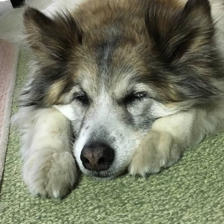 E5d4fbce b562 4604 8642 46f3774e2270