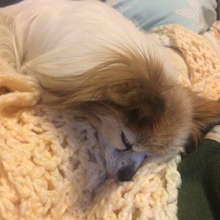 E5d53443 7459 4114 8020 2e836b8b56e7