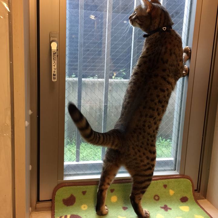 E5d56c93 2bc6 4021 ad54 059c510a2cdc