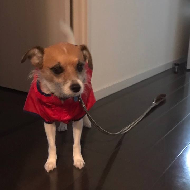 E5d59db3 5c6b 4ea2 b1f0 d5b07fd8f05c