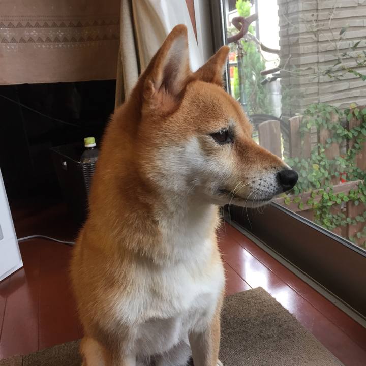 E5d5b3cc d379 420b 85dc 91314aa45b0f