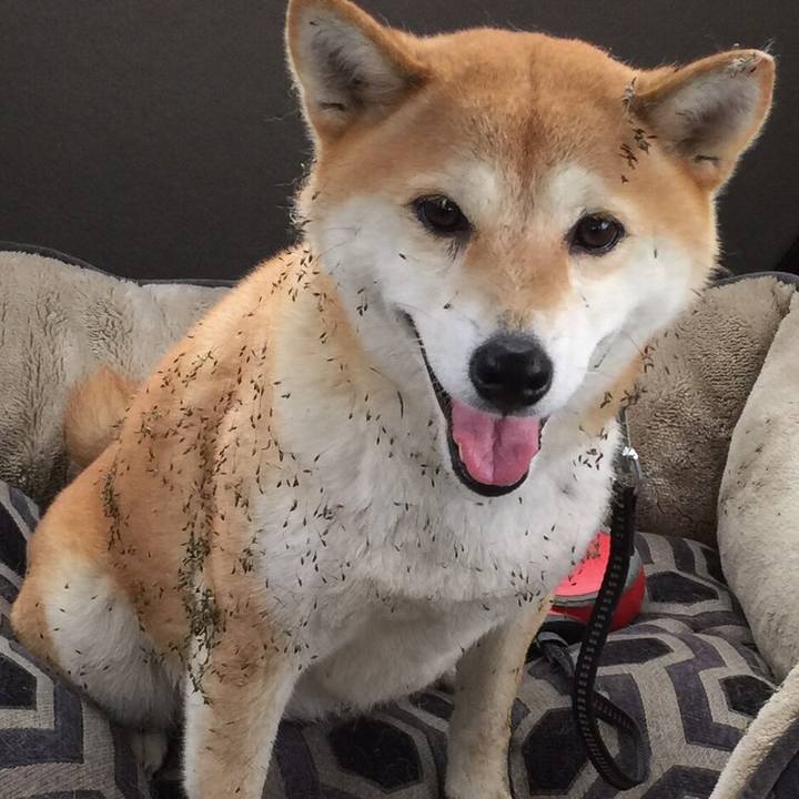 E5d634fc 9693 472d 8e94 f999cdecc847