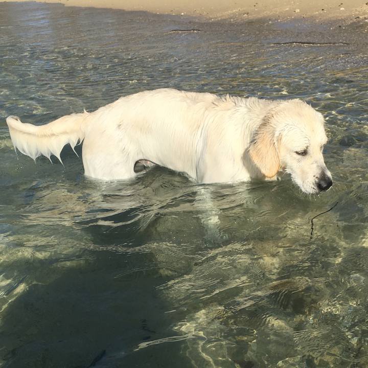 E5d6ed90 2618 4a1a 8ee5 91b632fa8b6e