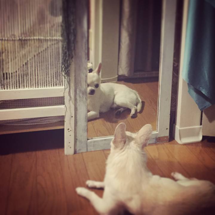 E5d7109e 2c7b 48a6 a3d0 70995b4ab418