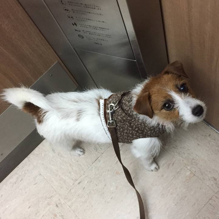 E5d740c9 077d 4509 a653 d405811777df