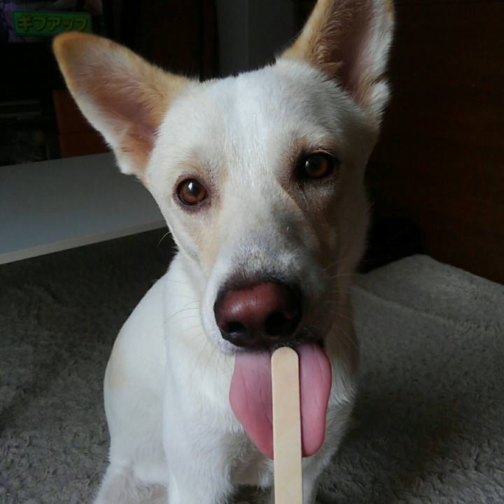 E5d789d7 a756 4635 92f7 930aabbe9505