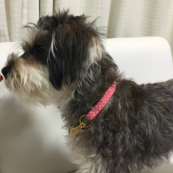 E5d80098 1b5d 40e9 9eec 9c02a310337a