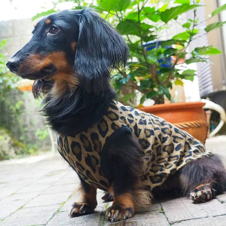 E5d869bf bf6b 427d a3ab 2c703df3716c