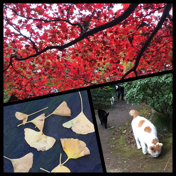 E5d8eb7a dcbe 49f2 9538 0245c870d37c